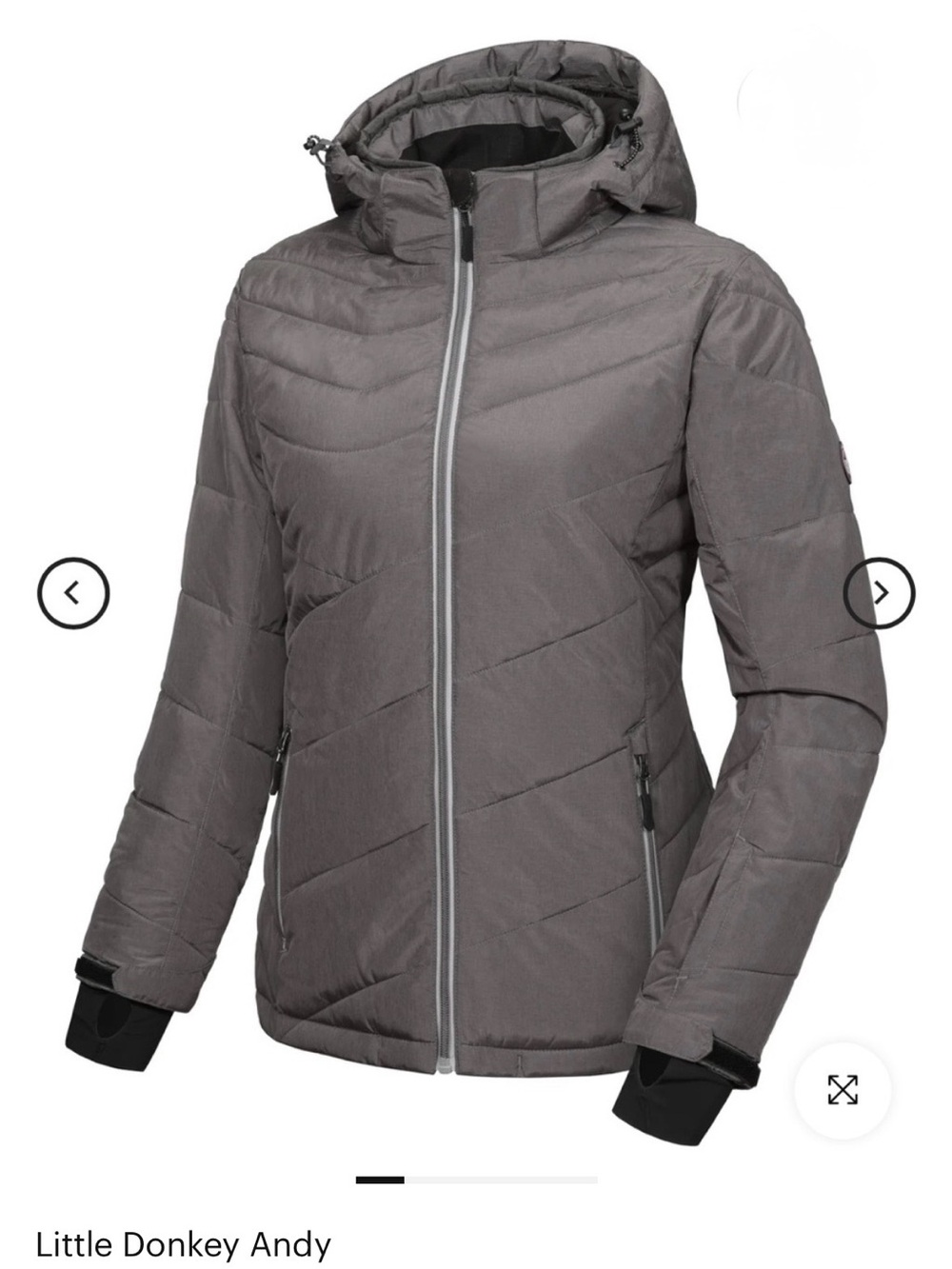 Women's Warm Windproof Insulated Hooded Ski Jacket -Gray Size Small